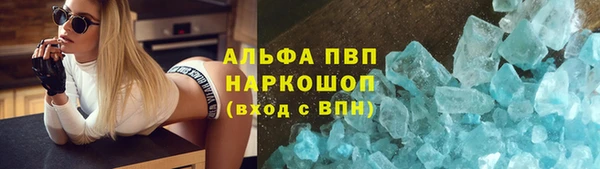 шишки Абаза