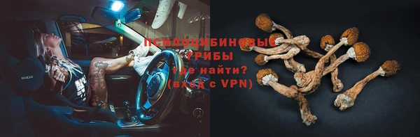 шишки Абаза