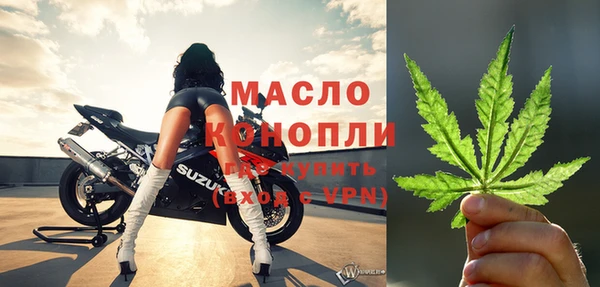 шишки Абаза