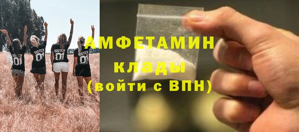 шишки Абаза