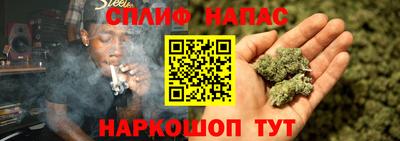 стафф Кинель
