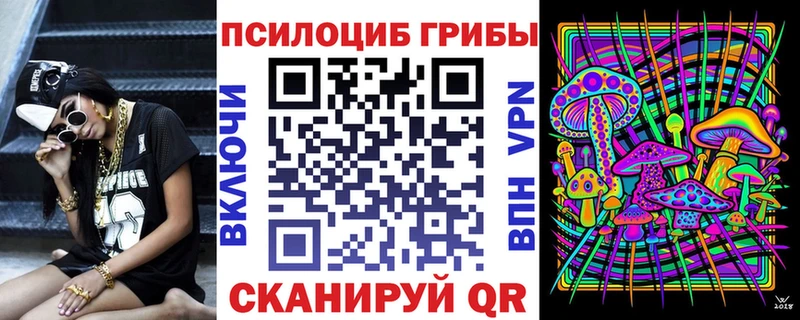 Псилоцибиновые грибы Psilocybine cubensis  хочу   Людиново 